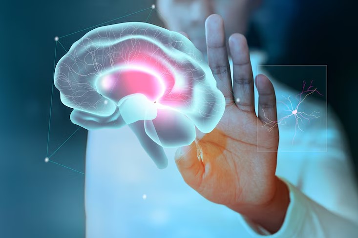 Rahasia Neurosains Stay Active Productive