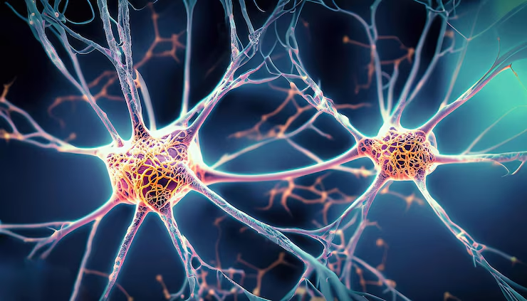 Rahasia Neurosains Stay Active Productive