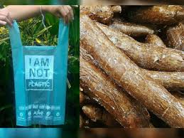 Bioplastik bahan Singkong inovasi potensi alam