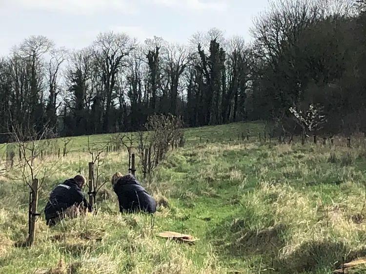 12 Mindful Living Habits 2025 Transform Hidup Anda: Panduan Lengkap Gen Z Indonesia